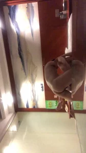 [原创]调教广佛骚逼3